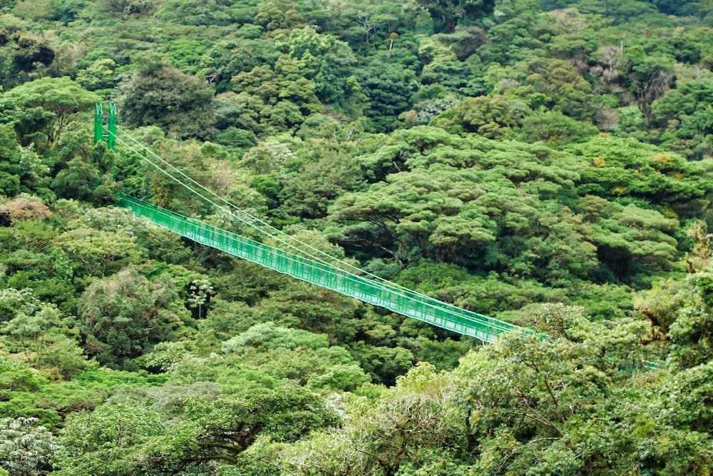 Monteverde Cloud Forest